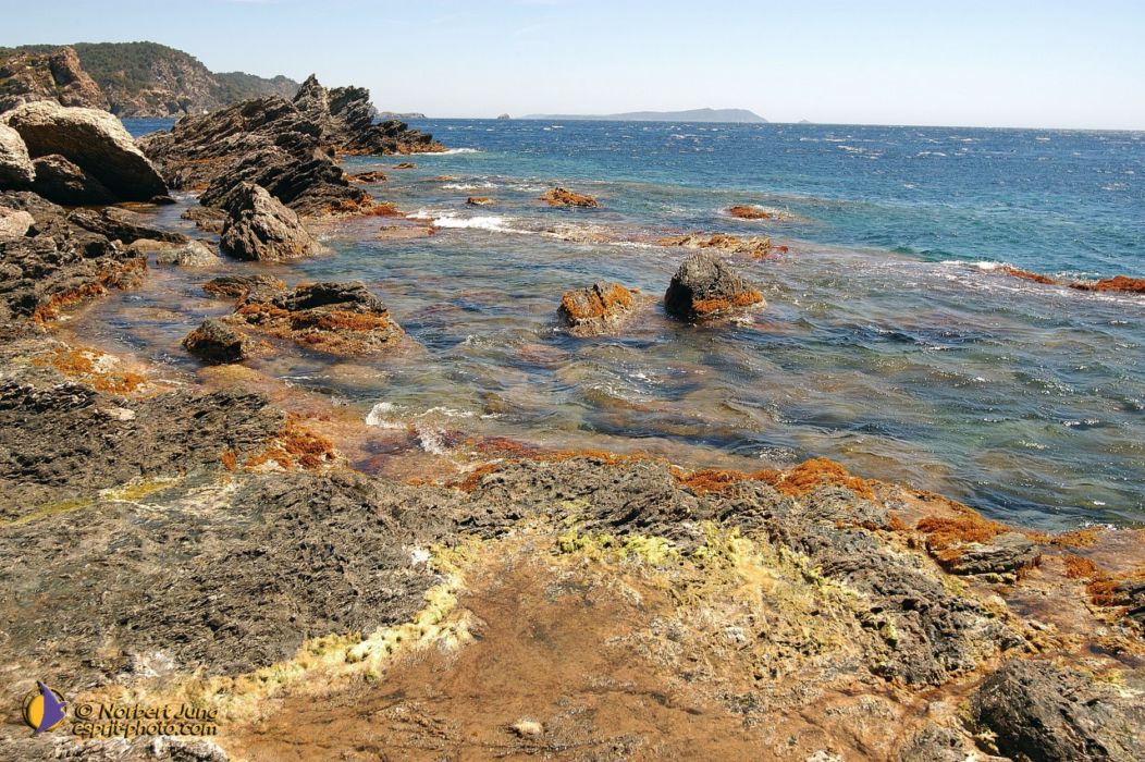 Nom de l'image : D1055293-nef-sel-01_(c)Norbert-JUNG — Description :